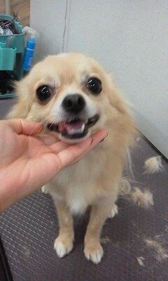 10140001