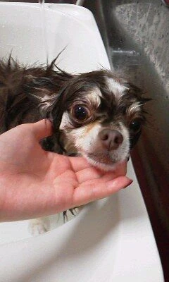 10220001