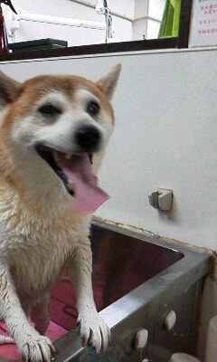 11050001