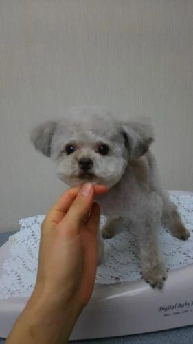thumbnail_dsc_7423