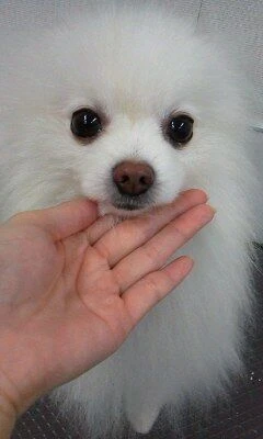 11090001