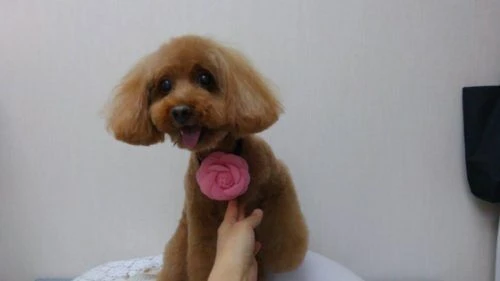 thumbnail_1510654287333