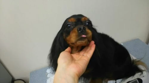thumbnail_dsc_7593