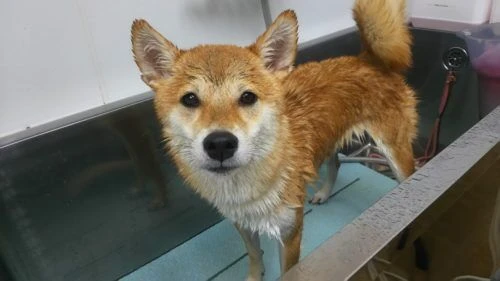 thumbnail_dsc_7629