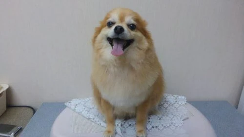 thumbnail_1511690789914