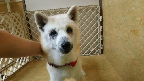thumbnail_dsc_7716