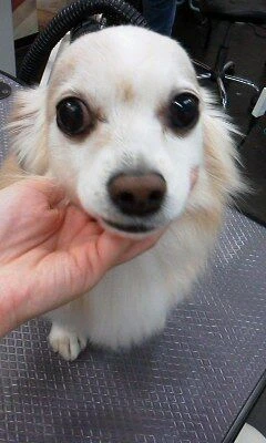 11260001