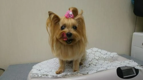 thumbnail_dsc_7872