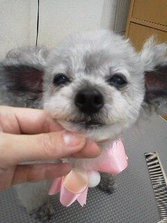 12030001