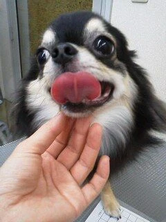 12030001