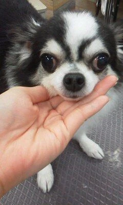 12030001