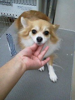 12040001
