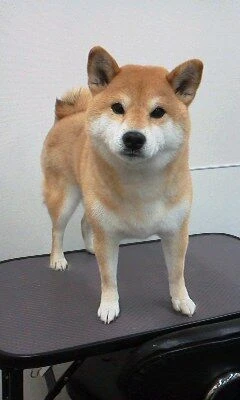 12040001