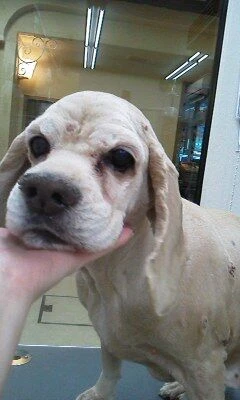 12210001