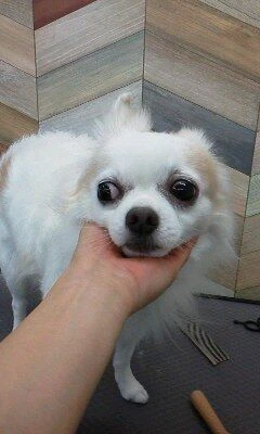 12210001