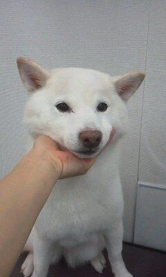 12230001