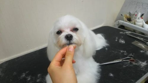 thumbnail_dsc_8522
