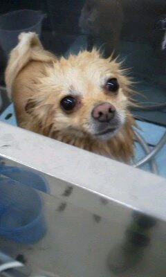 01040001