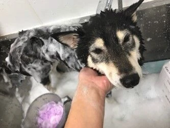 thumbnail_img_2328