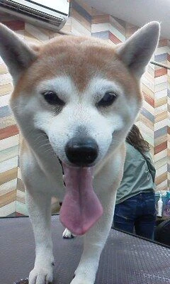 01130001