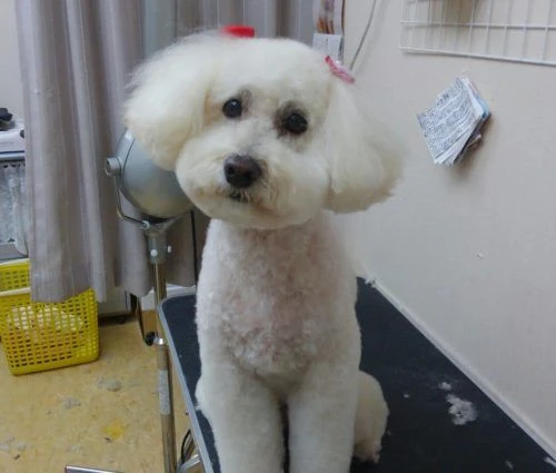 thumbnail_effectplus_20180131_144451
