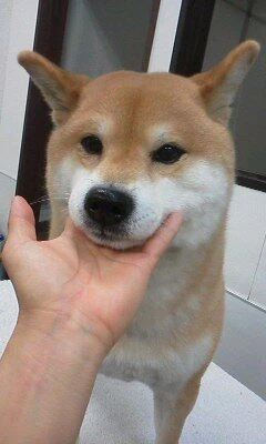 02100001
