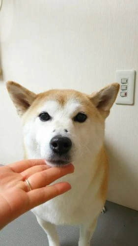 thumbnail_dsc_0275