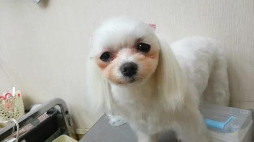thumbnail_dsc_0429