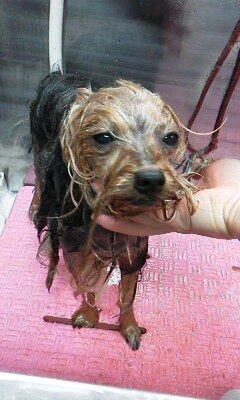 02150001