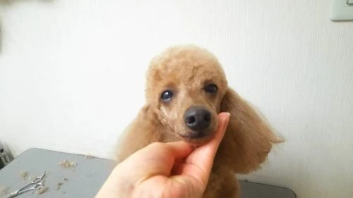 thumbnail_dsc_0594