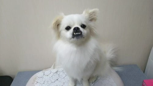 thumbnail_dsc_0714
