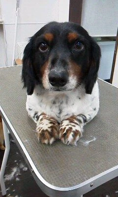 02240001