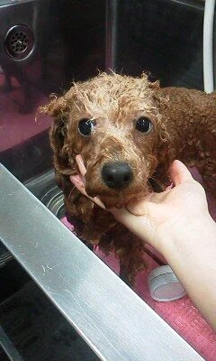 03010001