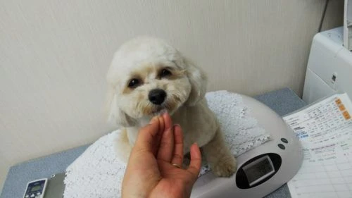 thumbnail_dsc_0972