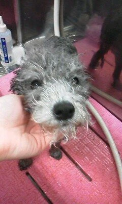 03030001