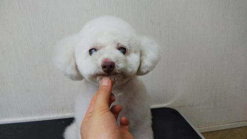 thumbnail_dsc_1267