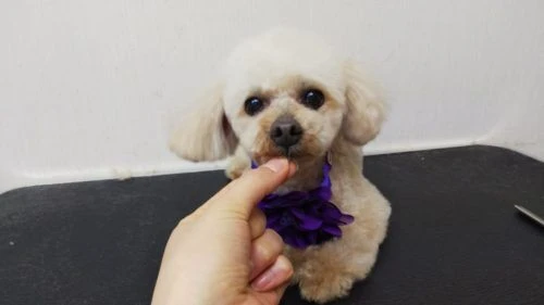 thumbnail_dsc_1223