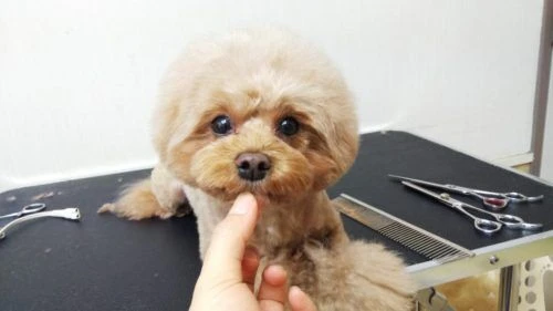 thumbnail_dsc_1227