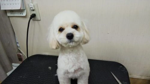thumbnail_dsc_1282