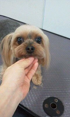 03170001
