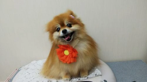 thumbnail_dsc_1894