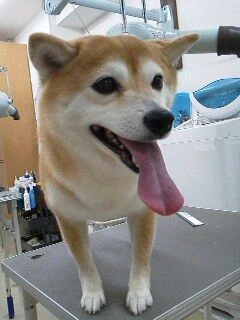 03210001