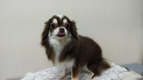 thumbnail_dsc_2101
