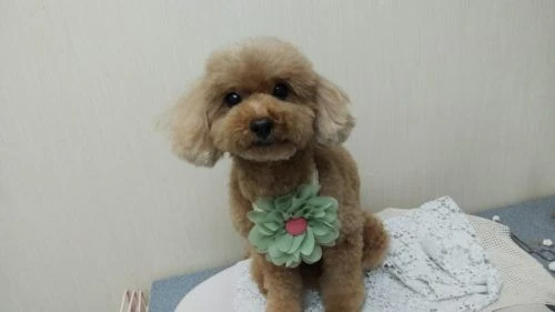 thumbnail_dsc_2227