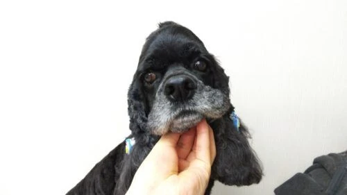 thumbnail_dsc_2598