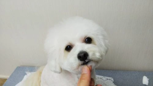 thumbnail_dsc_2979
