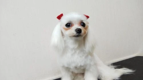 thumbnail_dsc_3102