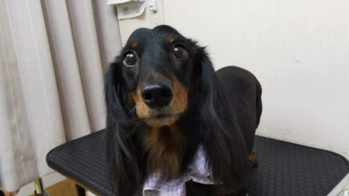 thumbnail_dsc_3525