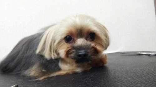 thumbnail_dsc_3570