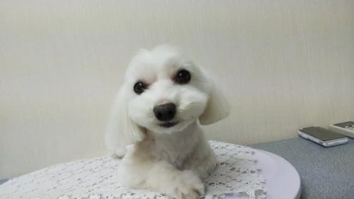 thumbnail_dsc_3681